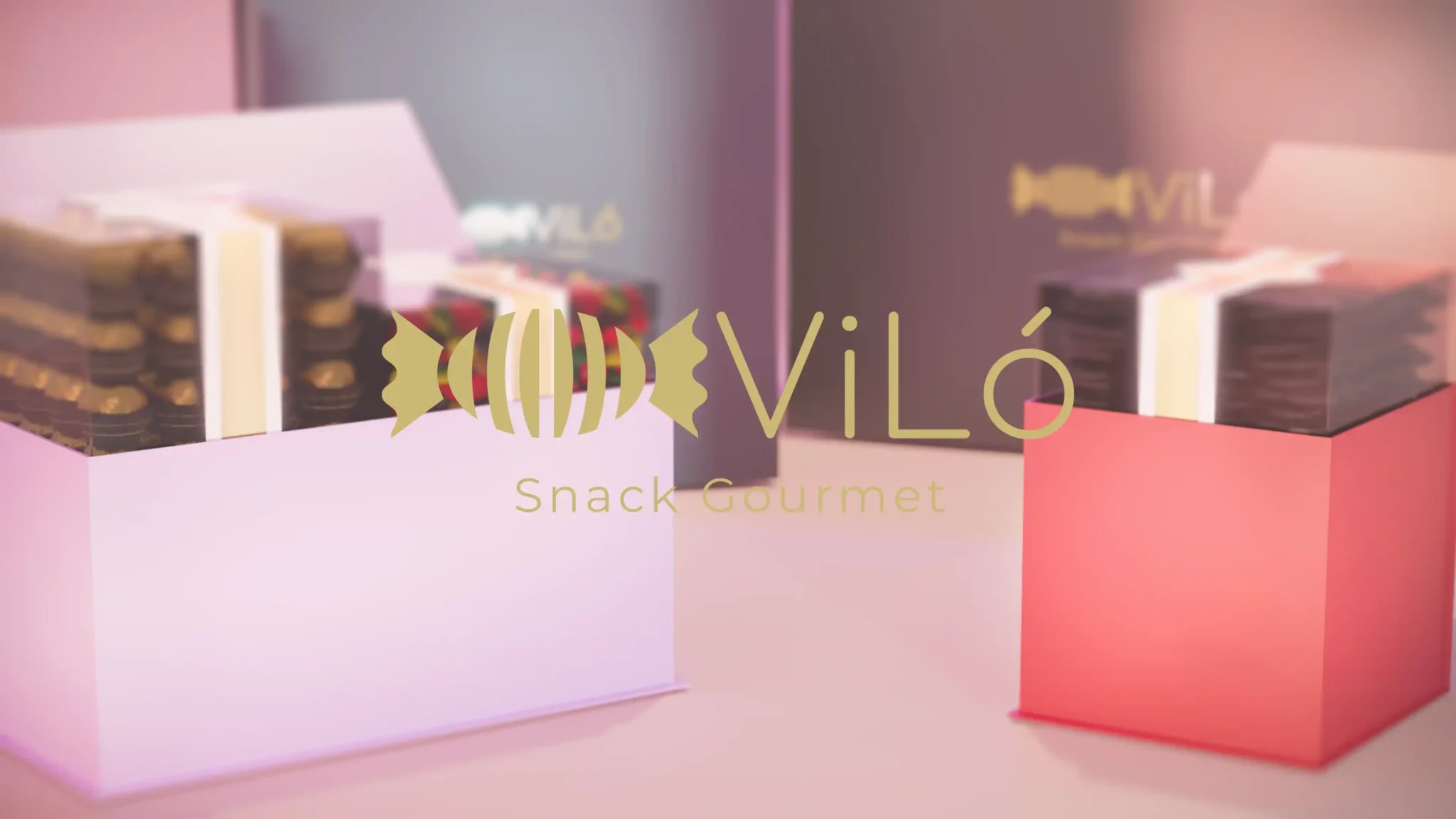 Vilo Snack Gourmet