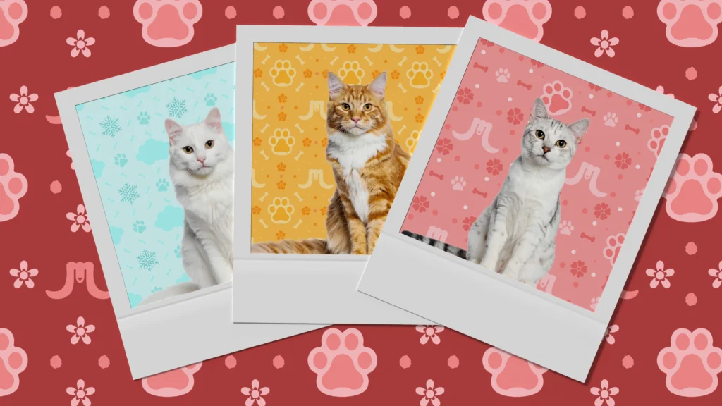 Caramelo Presentación Aplicaciones_17 Aplicaciones VII