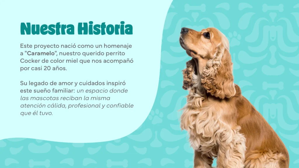 Caramelo Presentacion_01 Nuestra Historia