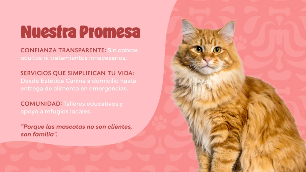 Caramelo Presentacion_04 Nuestra Promesa