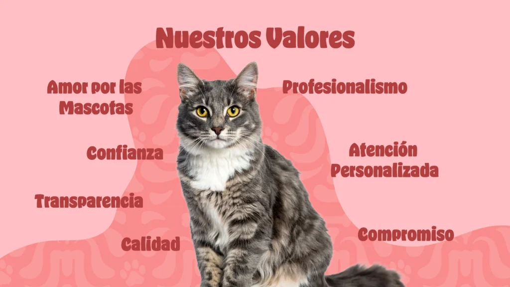 Caramelo Presentacion_05 Nuestros Valores