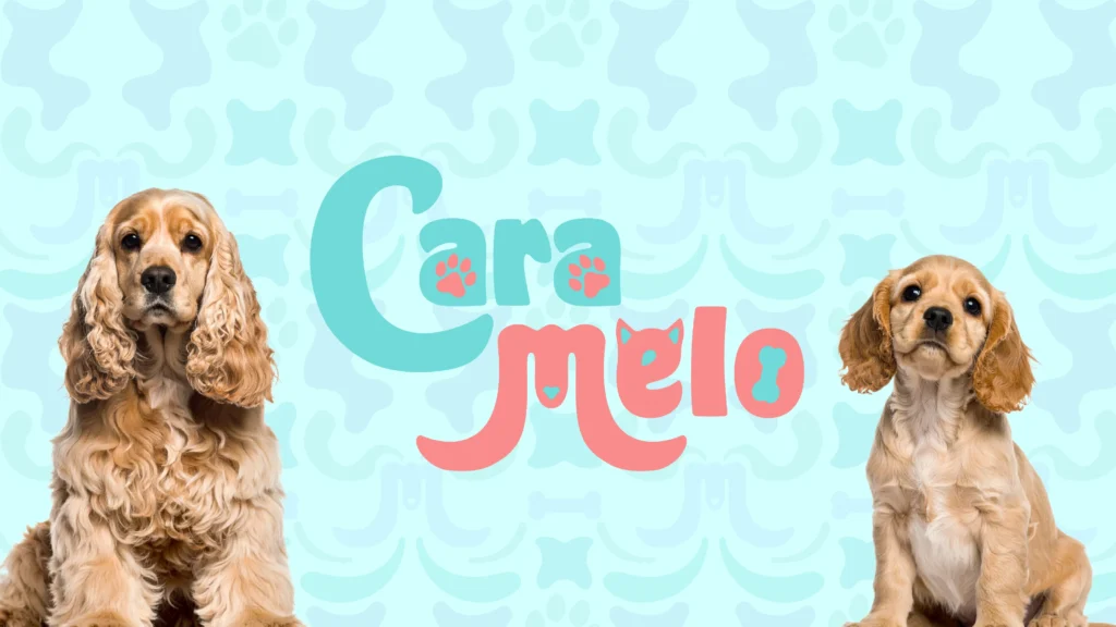 Caramelo Presentacion_08 Logotipo II