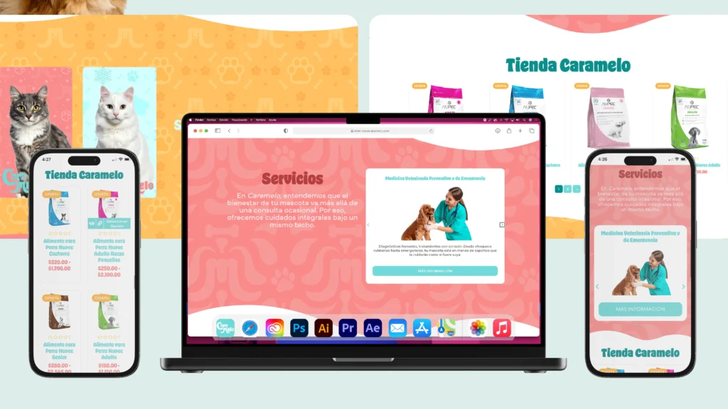 Presentación Web_Landing Page 03