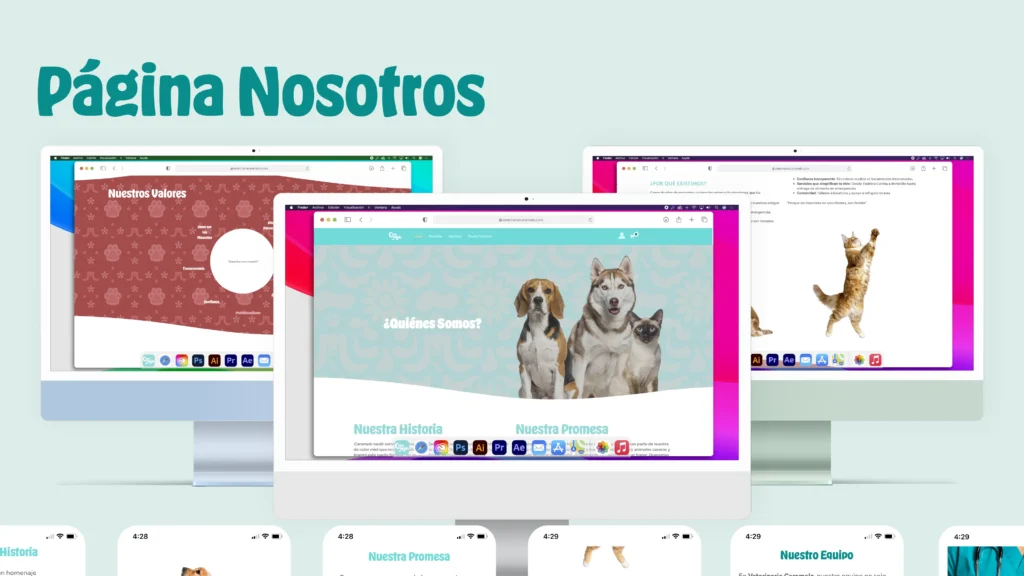 Presentación Web_Nosotros 01