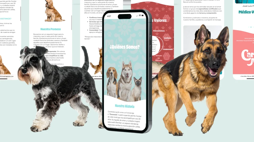 Presentación Web_Nosotros 02