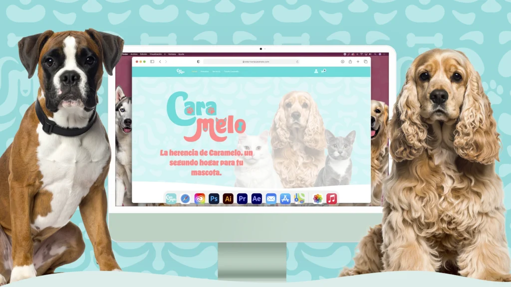 Presentación Web_Portada