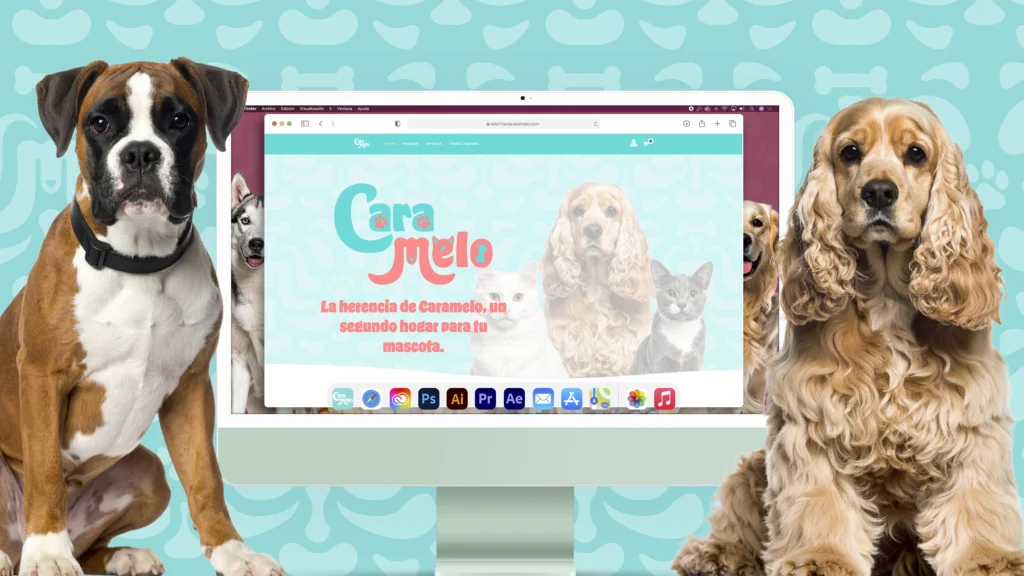 Presentación Web_Portada Behance