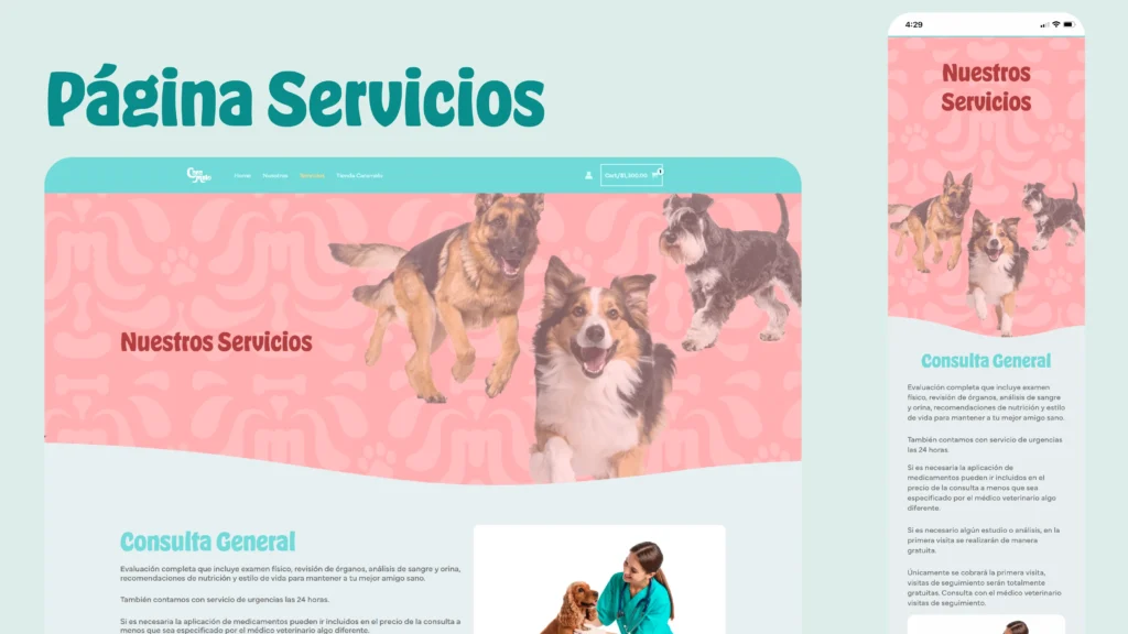 Presentación Web_Servicios 01