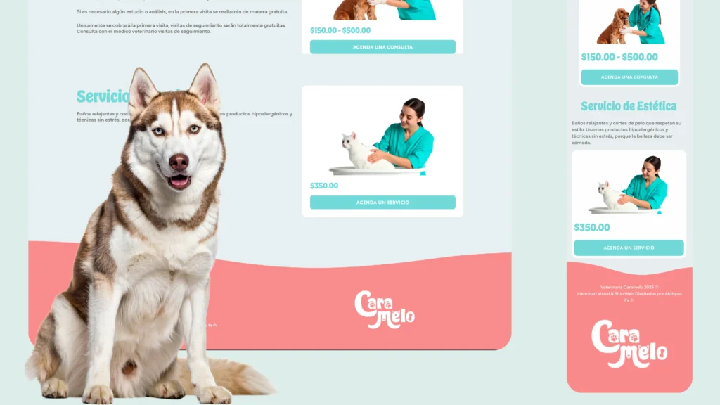 Presentación Web_Servicios 02