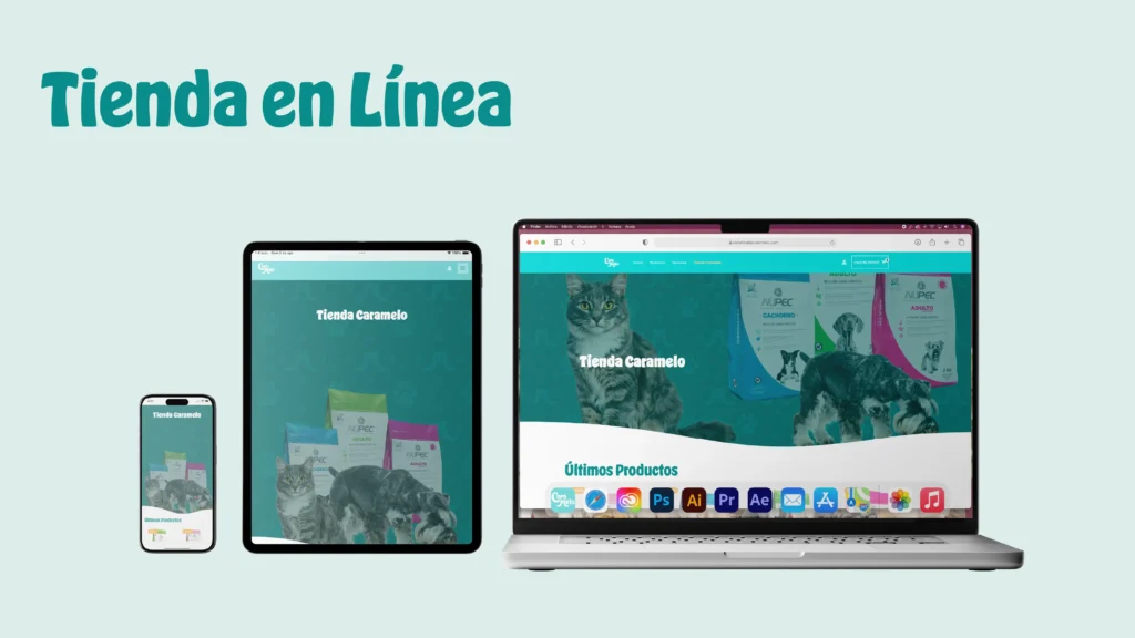 Presentación Web_Tienda 01