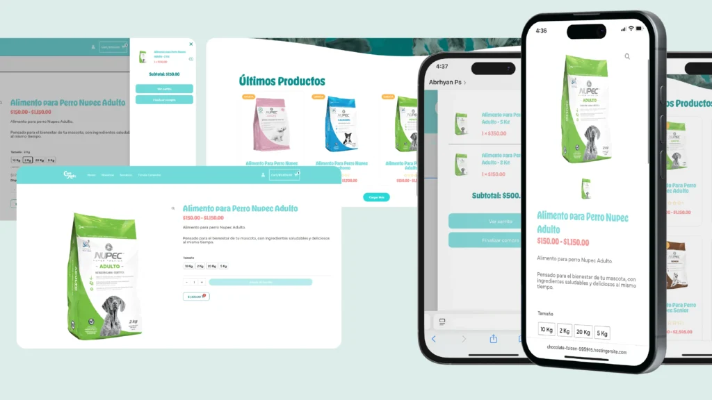 Presentación Web_Tienda 02