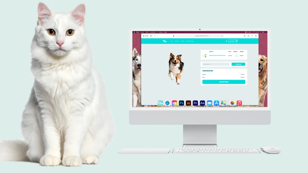 Presentación Web_Tienda 03