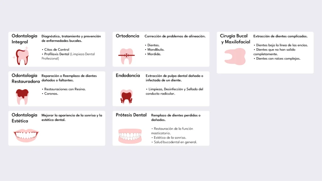 Integradent Presentación_07 Servicios II